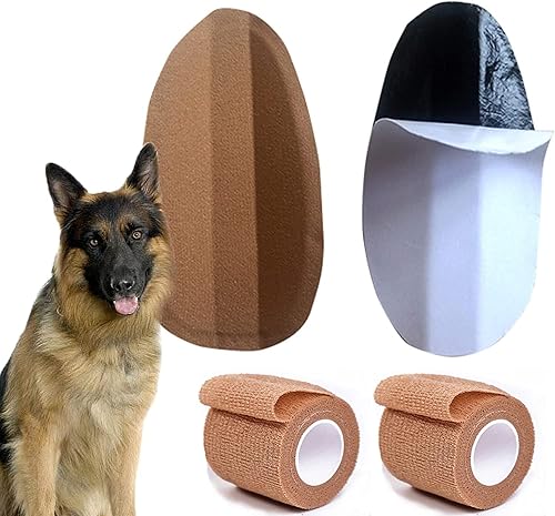 THOUDONER Soporte para orejas de perro, herramienta de soporte vertical de corrección fija de oreja de perro para Doberman. (1.38 x 2.76 pulgadas)