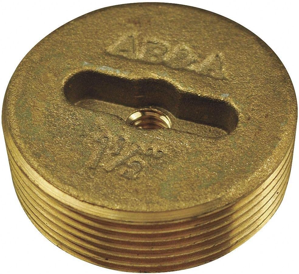 Cleanout Plug, Los Angeles Style, 2 in