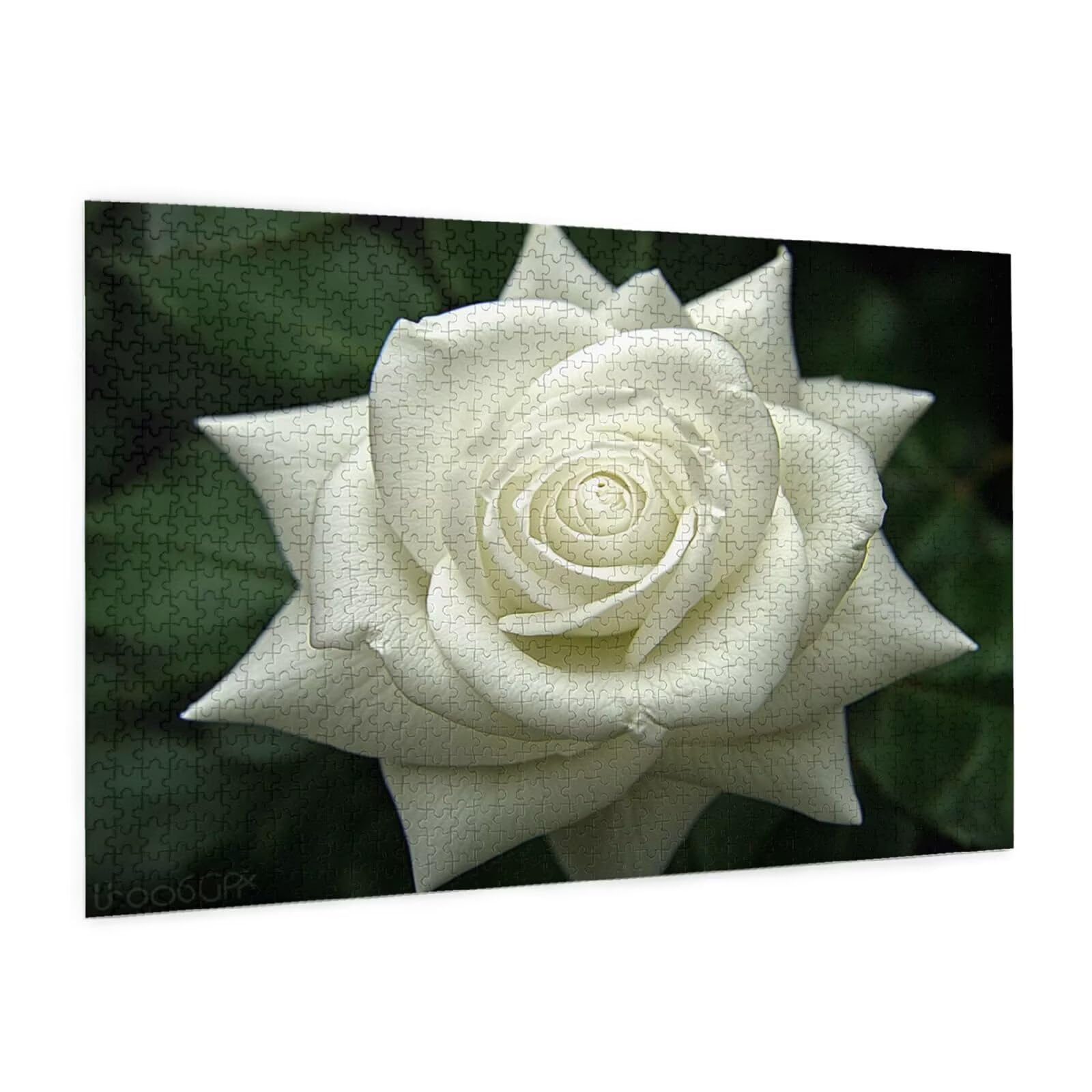 Puzzle 2000 Teile, Puzzle Erwachsene, Holzpuzzle Blume Impossible Jigsaw, Clevere Rätsel, HD Farbe Jigsaw mit Geschenkbox Verpackung for Aesthetic Room Decor, Geschenke für Frauen Rose 100x70cm p-1934