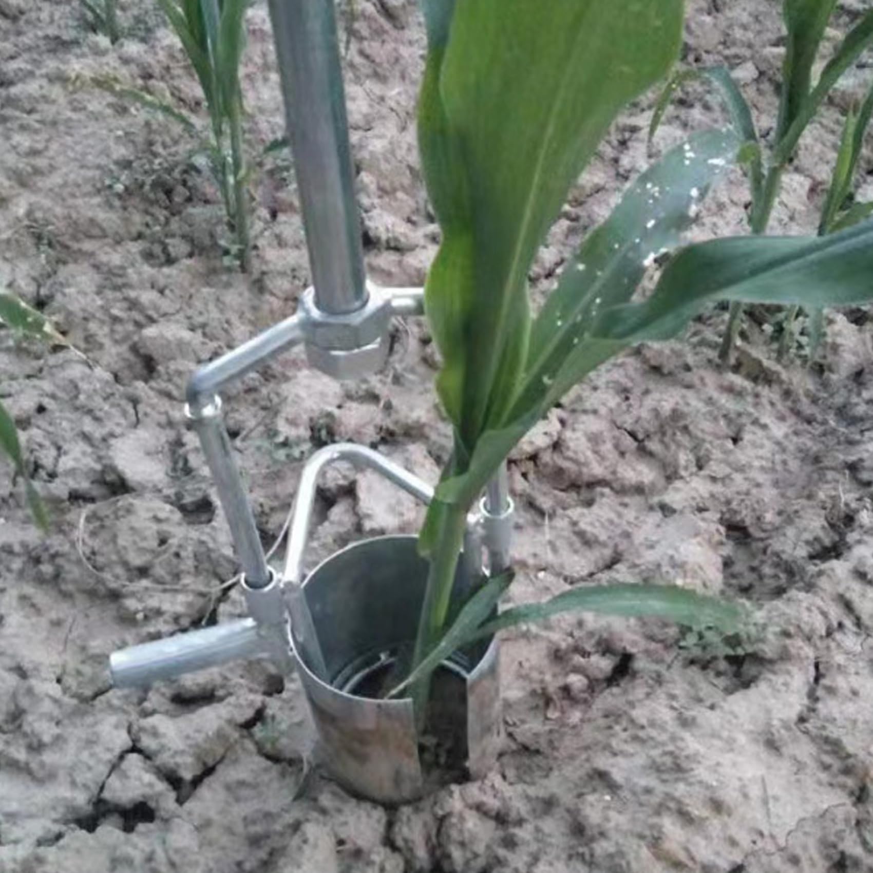 Trasplantador De PláNtulas De Plantador De Bulbos De Mango Largo, Trasplantador De Bulbos De JardineríA con Base Dentada, Mango De Agarre De Goma Suave Antideslizante
