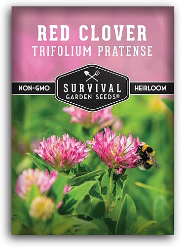 Survival Garden Seeds - Semilla de trébol rojo para plantar - 1 paquete con instrucciones para plantar y cultivar una hierba medicinal y una