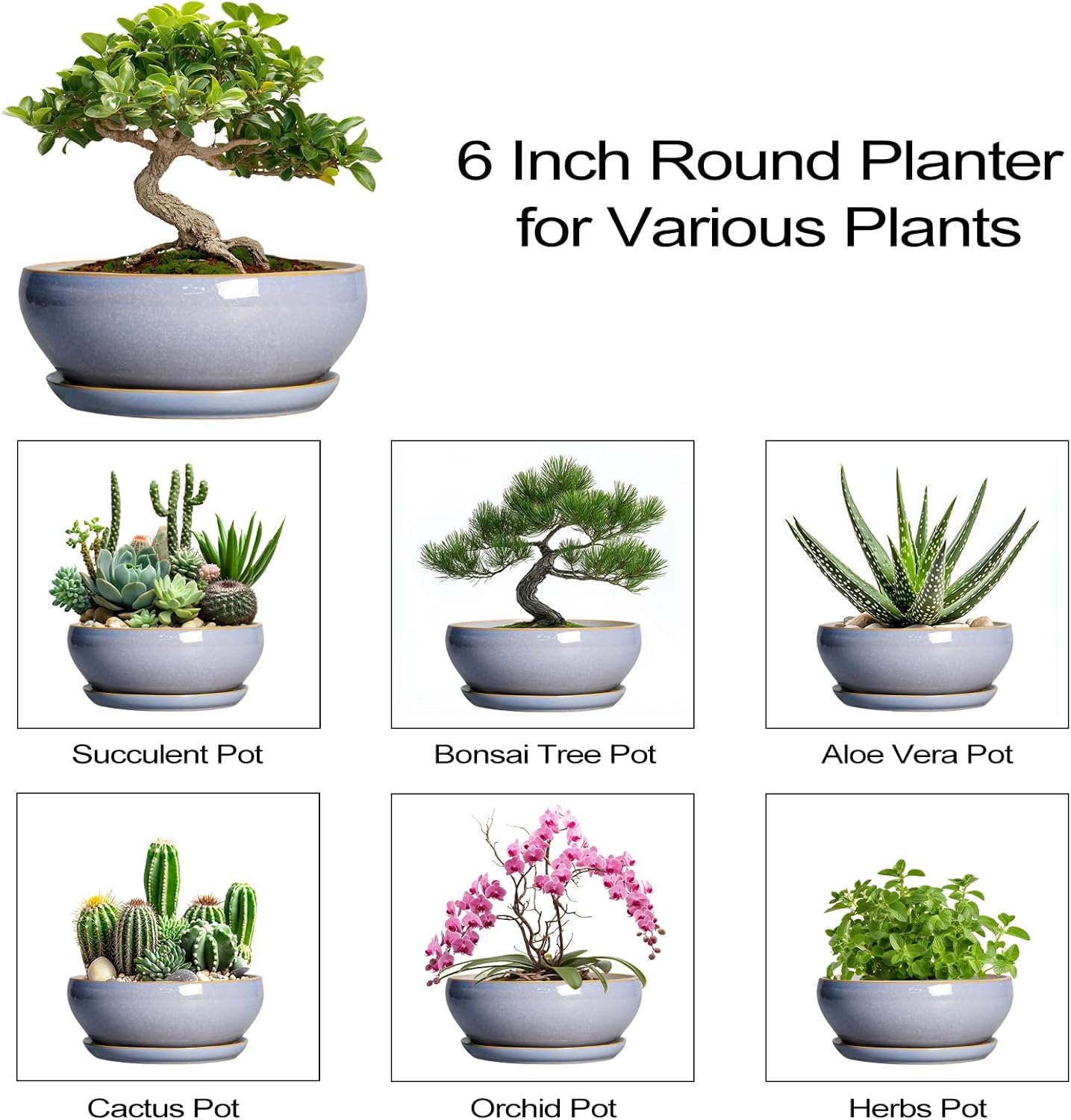 SQOWL Bonsai Tree Pots Small - 6 Inch Ceramic Succulent Planters with Drainage Hole and Saucer, Shallow Pot for Indoor Outdoor, Round Cactus Planters, Living Room Decor, Gifts for Plant Lover, Blue