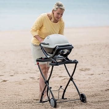 Weber 6557 Q1250 Q1250 Barbecue Stove, BBQ Grill, Table