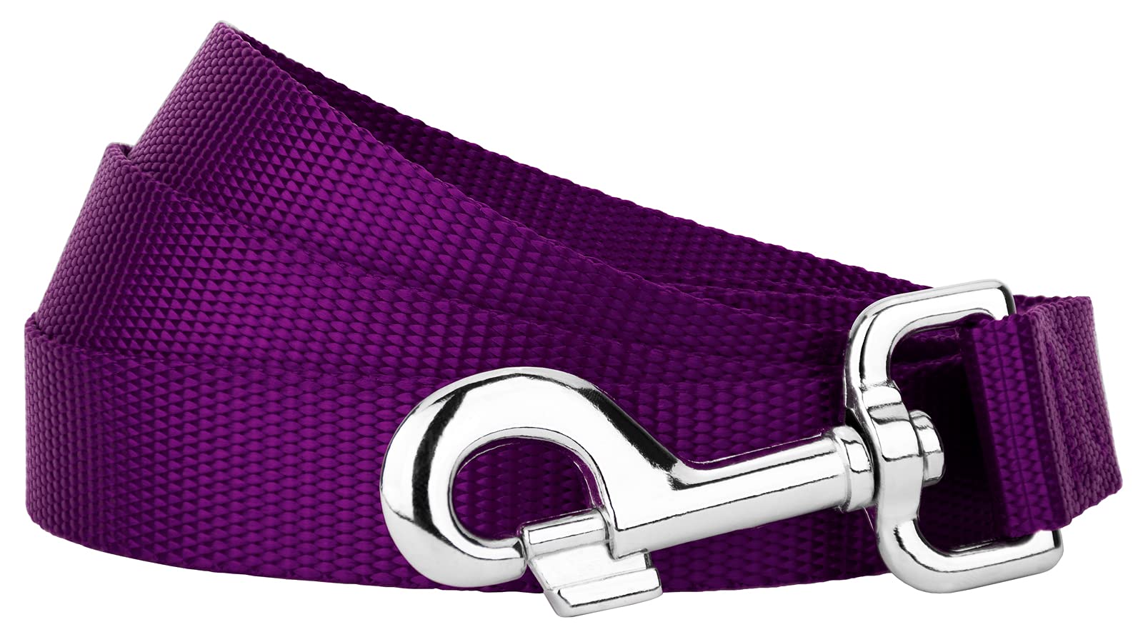 Country Brook Petz | Vibrante 21 Color Selection | Nylon guinzaglio del Cane (2,5 cm di Larghezza), 6 Foot X 1 inch Wide, Raissa metallizzate