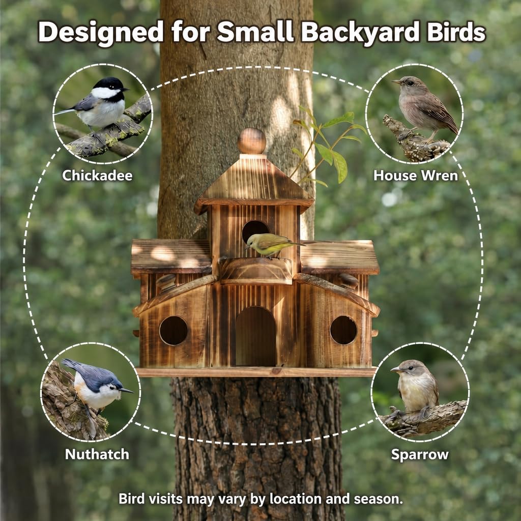 Casa para pájaros y comedero para pájaros 2 en 1. Casa para pájaros para exteriores, casa de colibrí con 6 agujeros, cardenales de pinzón azul para colgar casa de pájaros grande, caja de anidación