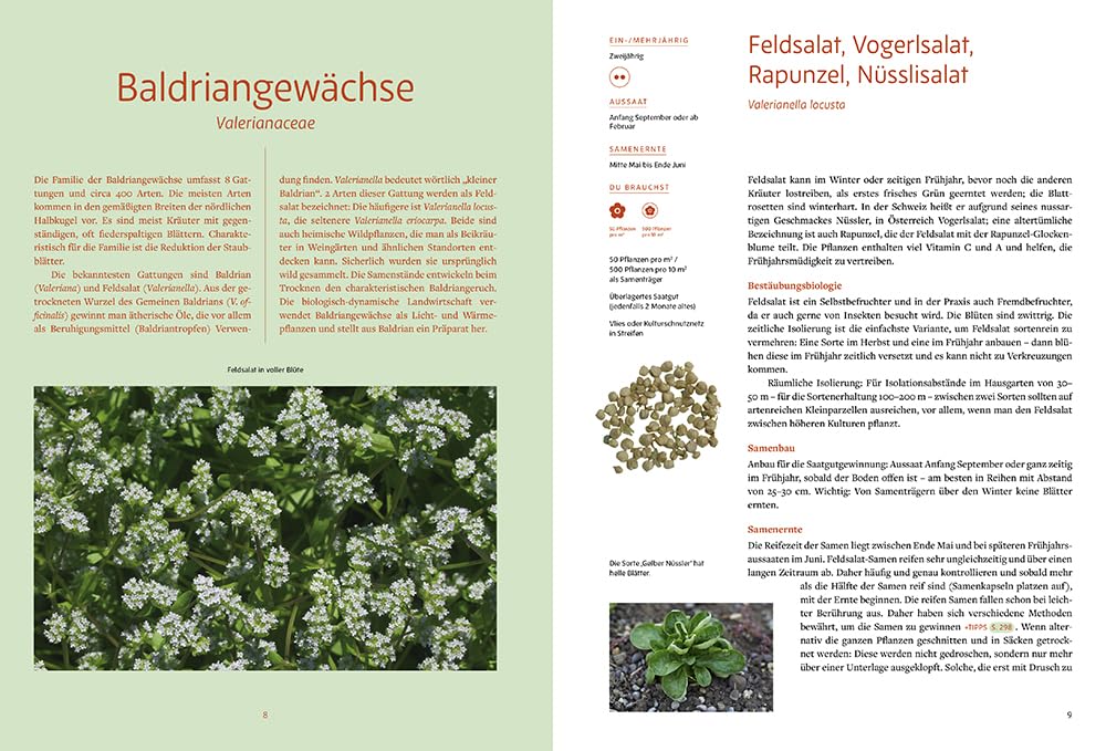 Handbuch Samengärtnerei: Sorten erhalten. Vielfalt vermehren. Gemüse genießen. Pflanzensamen selber ernten, Saatgut vermehren, heimische Nutzpflanzen fördern und alte Sorten bewahren.