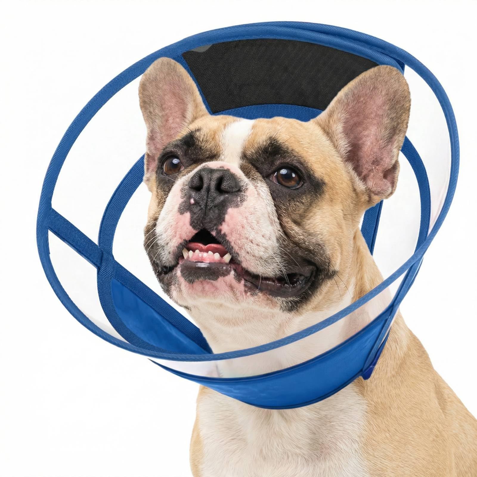 Collar de recuperación para Perro Post cirugía, Collar isabelino Ajustable, Cono Protector Transparente, Collar Anti lamido, Collar médico Plegable para Perros, Azul Marino S