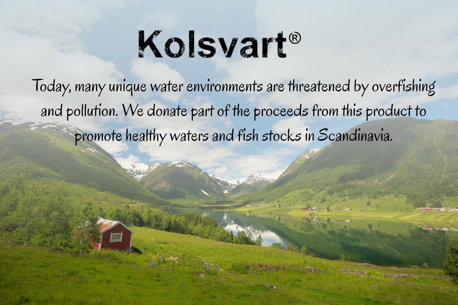 Kolsvart Raspberry Swedish Candy – Vegan & Gluten-Free Gummies with Natural Fruit Flavor – Scandinavian Gummy Candy – 4.2 oz Each (Pack of 5)