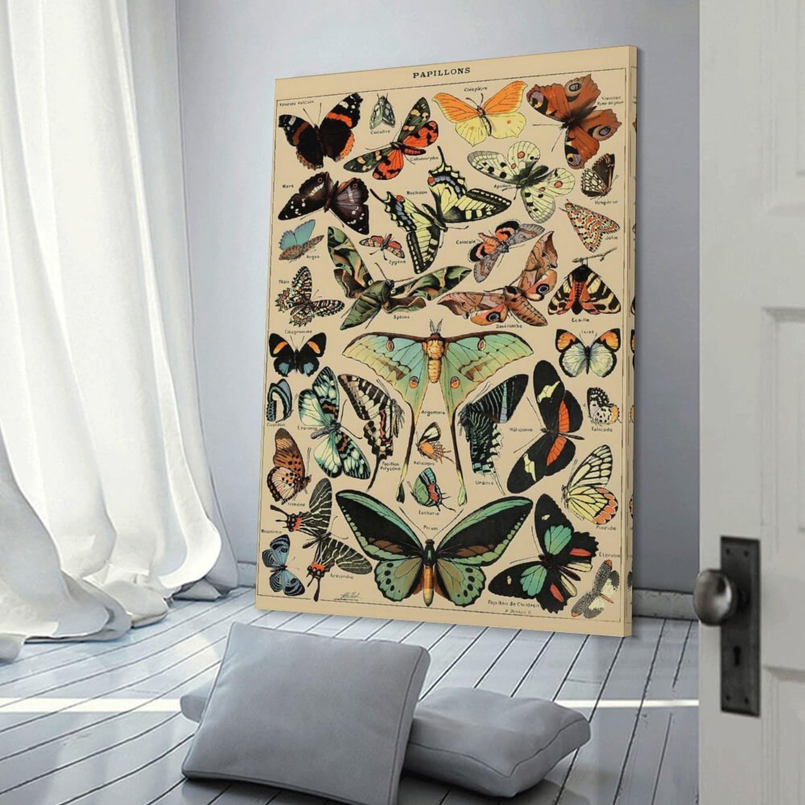 Junmoney Adolphe Millot Butterfly Wall Picture Print 08x12inch(20x30cm), for Entrance Spaces, Stair Walls Or Halls, Decorative Canvas Styling for Entry Areas