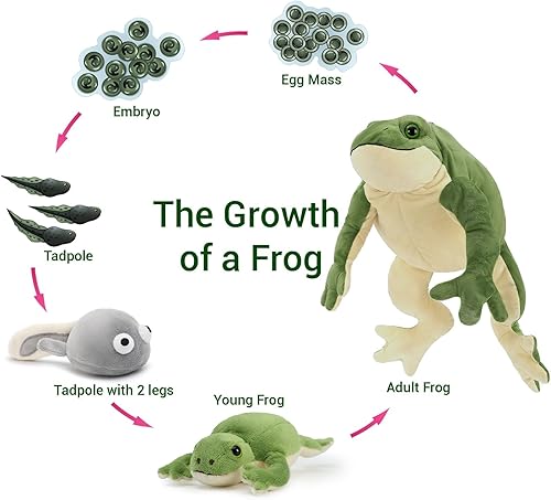 Miniatura 9 de MaoGoLan - Animal de peluche de rana verde, mamá rana con 4 ranas bebés, para niñas, niños y bebés, decoración de cumpleaños