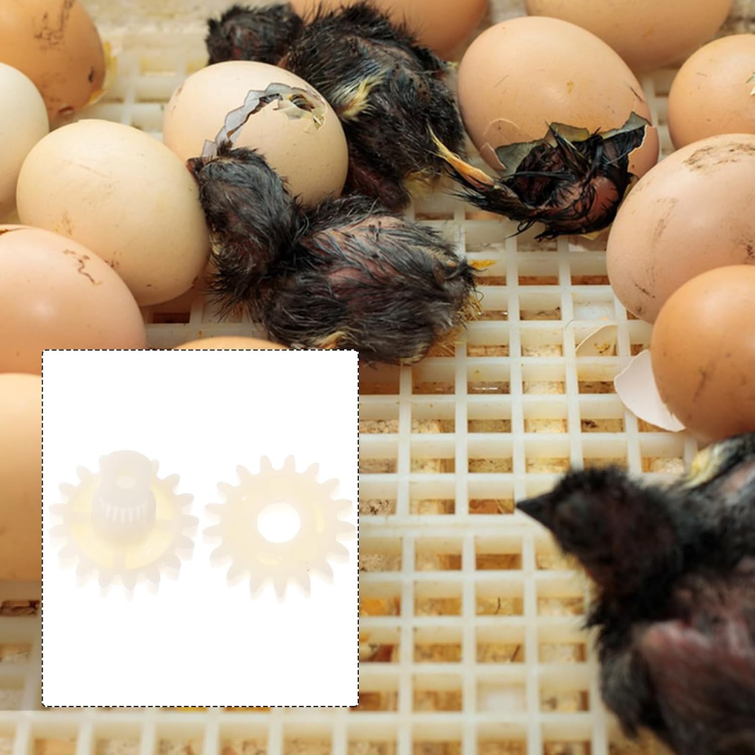 40pcs Turning Gears for Incubator Low Noise Low Power Consumption for Automatic Hatching Machines Essential Accessories for Chickens and Quail Eggs