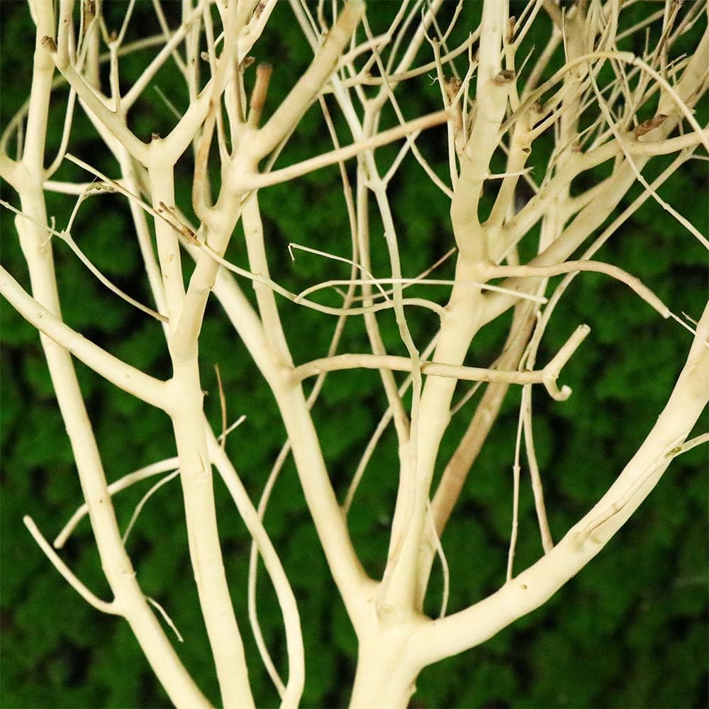 Leadigol Natural Driftwood for Aquarium, Fish Tank Decor - Wooden Tree Branch, Driftwood Tree Fish Tank Decoration (S)