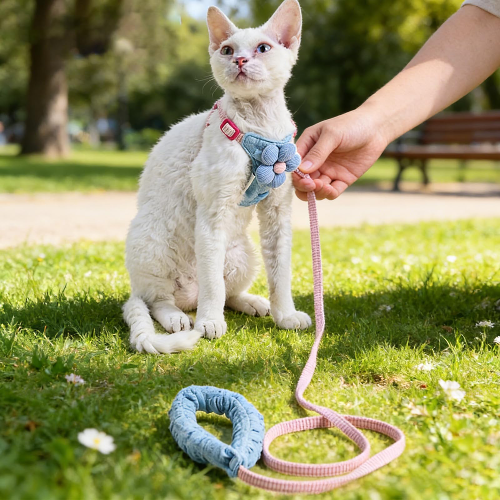 Katzengeschirr und Leine, Set mit Blumenmuster, H-Stil, niedlich, verstellbar, weich, ausbruchsicher, für Spaziergänge, kleine Hunde und Katzen, Beige und Braun