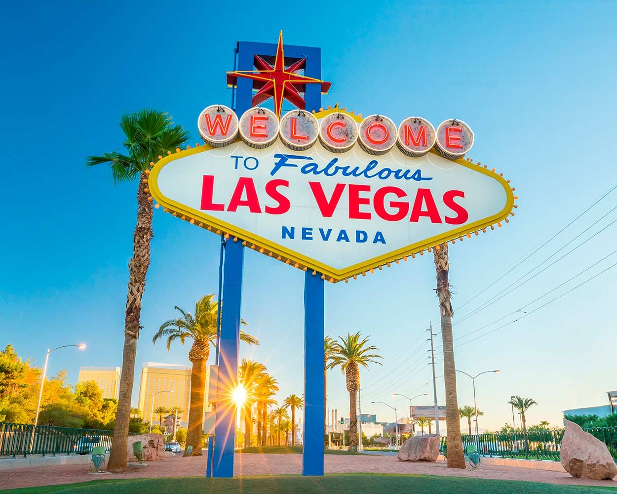 Oedim Photocall Las Vegas 1,60x2,00m | Photocall con 2 Soportes Resistentes | Lona Impresa a Todo Color | Photocall Ideal para Eventos, Celebraciones, Bodas… etc