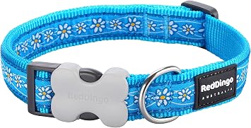 Red Dingo Daisy Chain Dog Collar, Turquoise, 15mm
