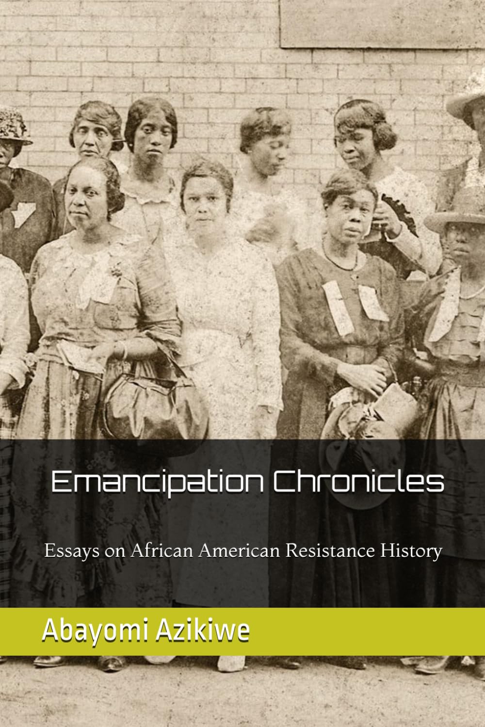 Emancipation Chronicles: Essays on African American Resistance History