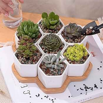 ホワイト フラワーポット型陶器 718ck17dlVL._UF350,350_QL50_.jpg