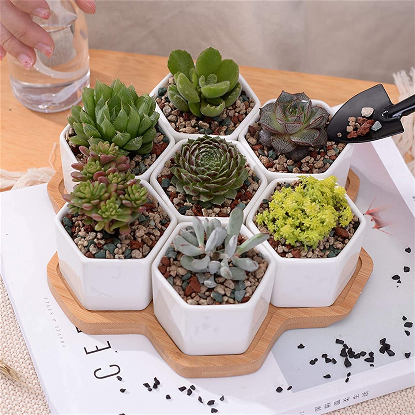 Amazon.co.jp: 鉢 陶器 植木鉢 うえき鉢 おしゃれ 北欧 装飾的な幾何学
