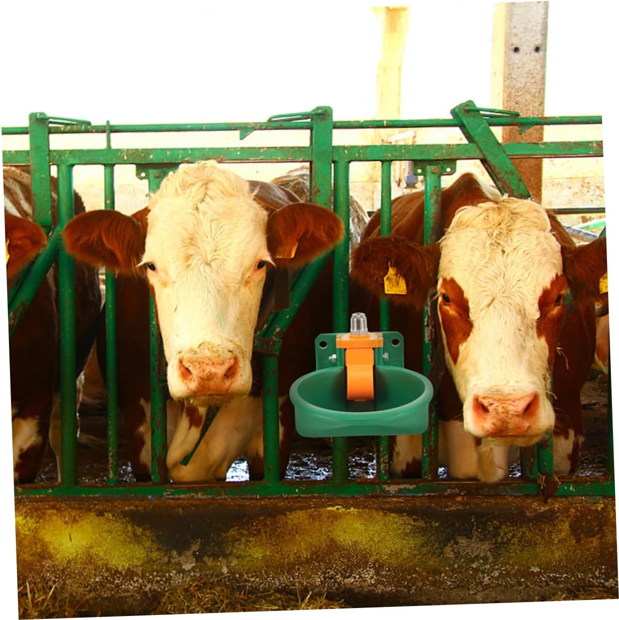 SUPVOX 2pcs Automatic Sheep and Goat Waterer Bowl Plastic Livestock Water Dispenser Easy to Install and Maintain Spillproof Design Water Saving for Farm Animals