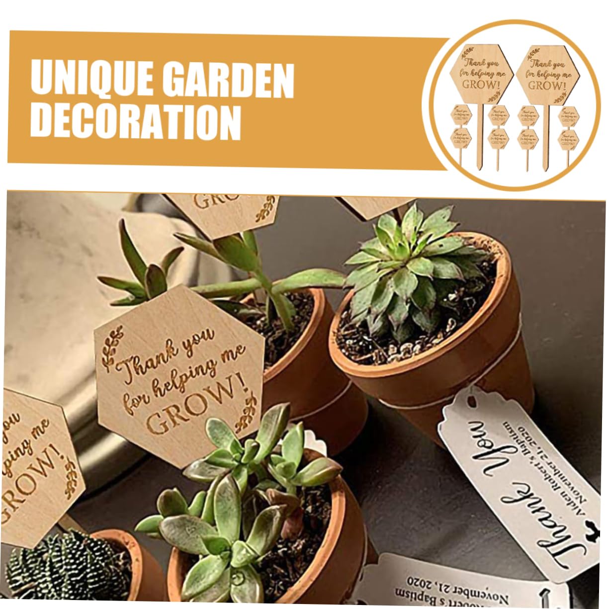 BESPORTBLE 5 Sätze Pflanzenetiketten Beschriftbare Pflanzenschilder Für Garten Blumenbeete Töpfe Für Innen Und Außenbereich Einsteckbar Tragbar 20 Stück * 5