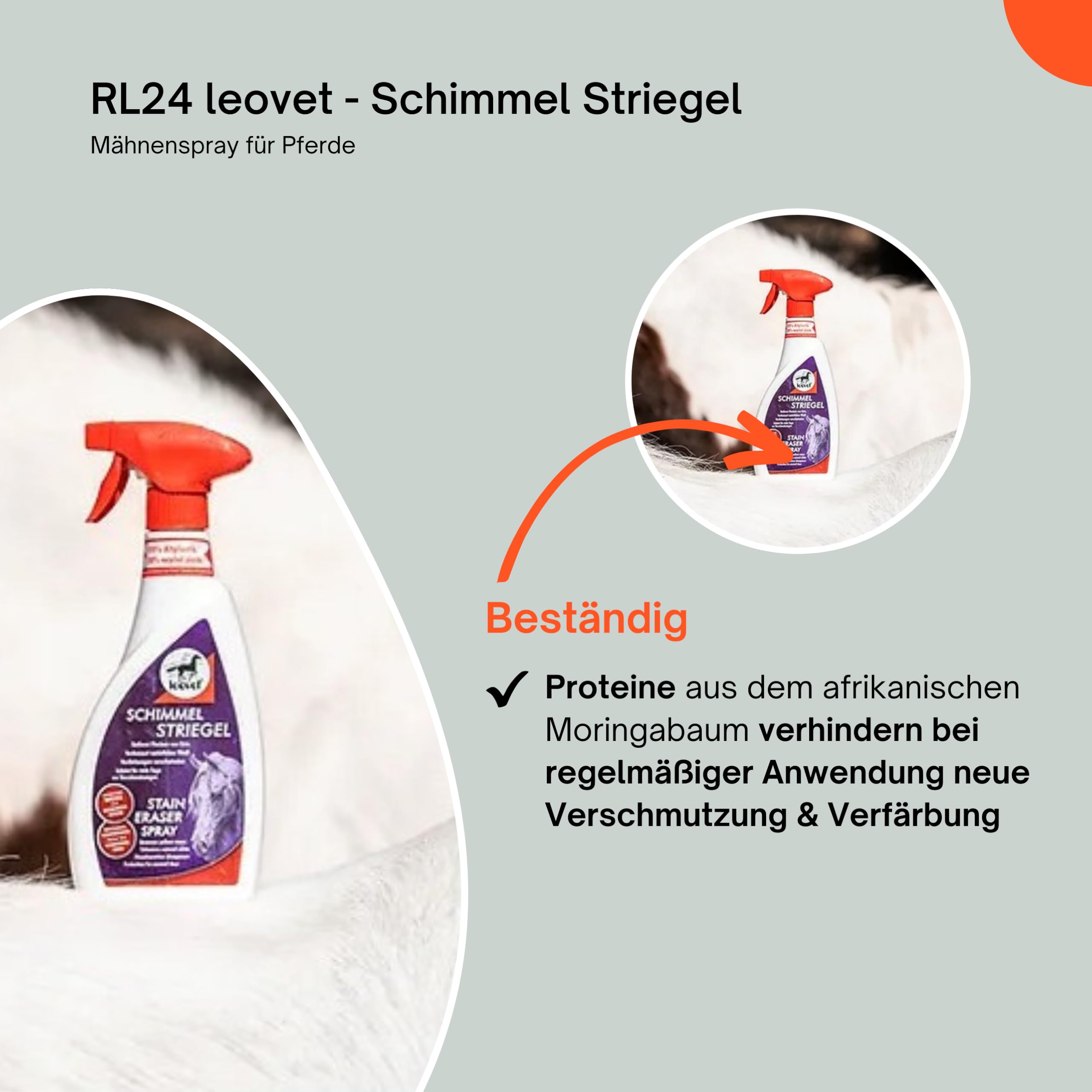 RL24 leovet - Schimmel Striegel | Mähnenspray für Pferde | entfernt Flecken & Verfärbungen | Schweifspray für brillanten Weißeffekt | stark rückfettende Fellpflege | 5 x 550 ml Spray (5er Set)
