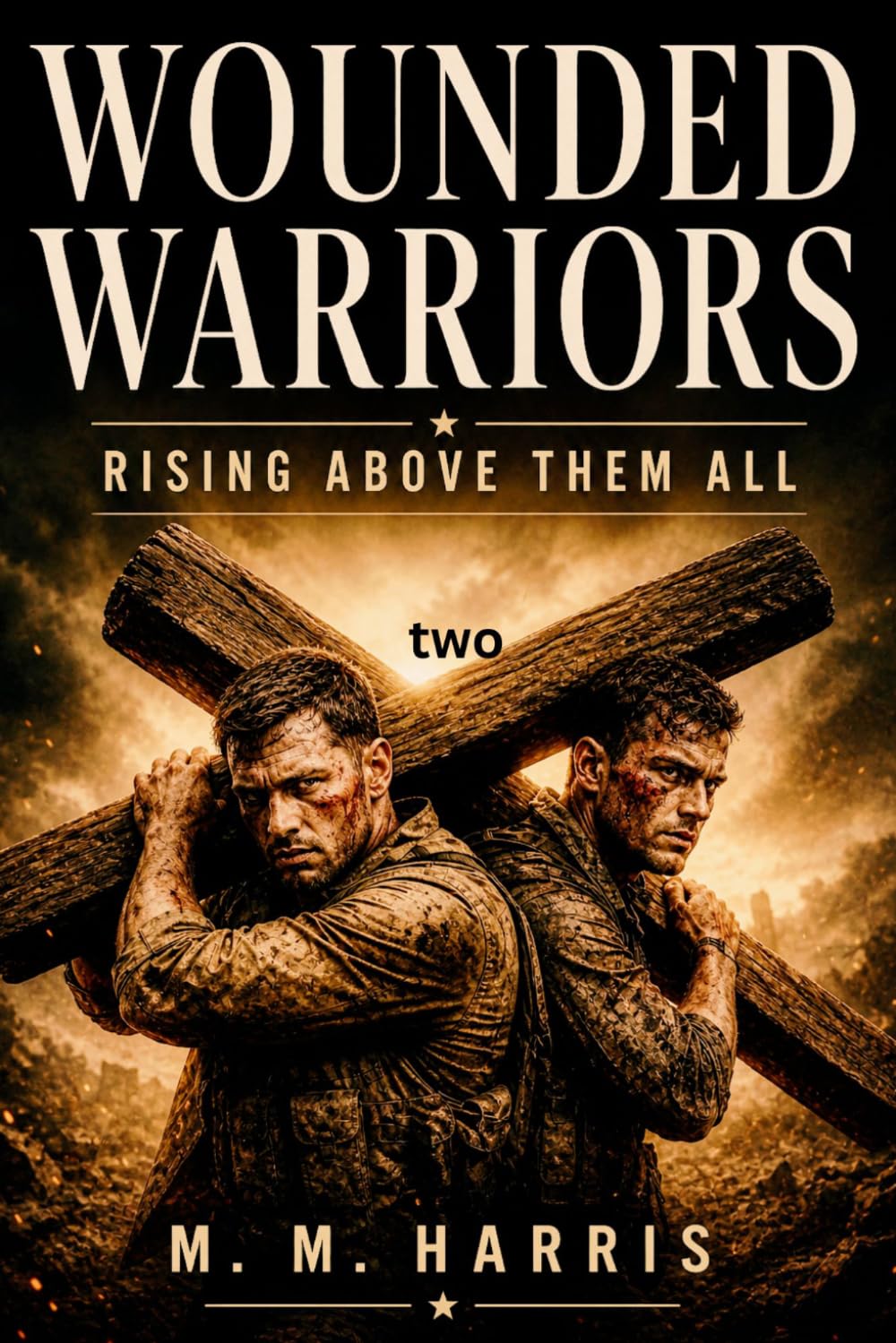 Wounded Warriors bk 2: Rising above them all!
