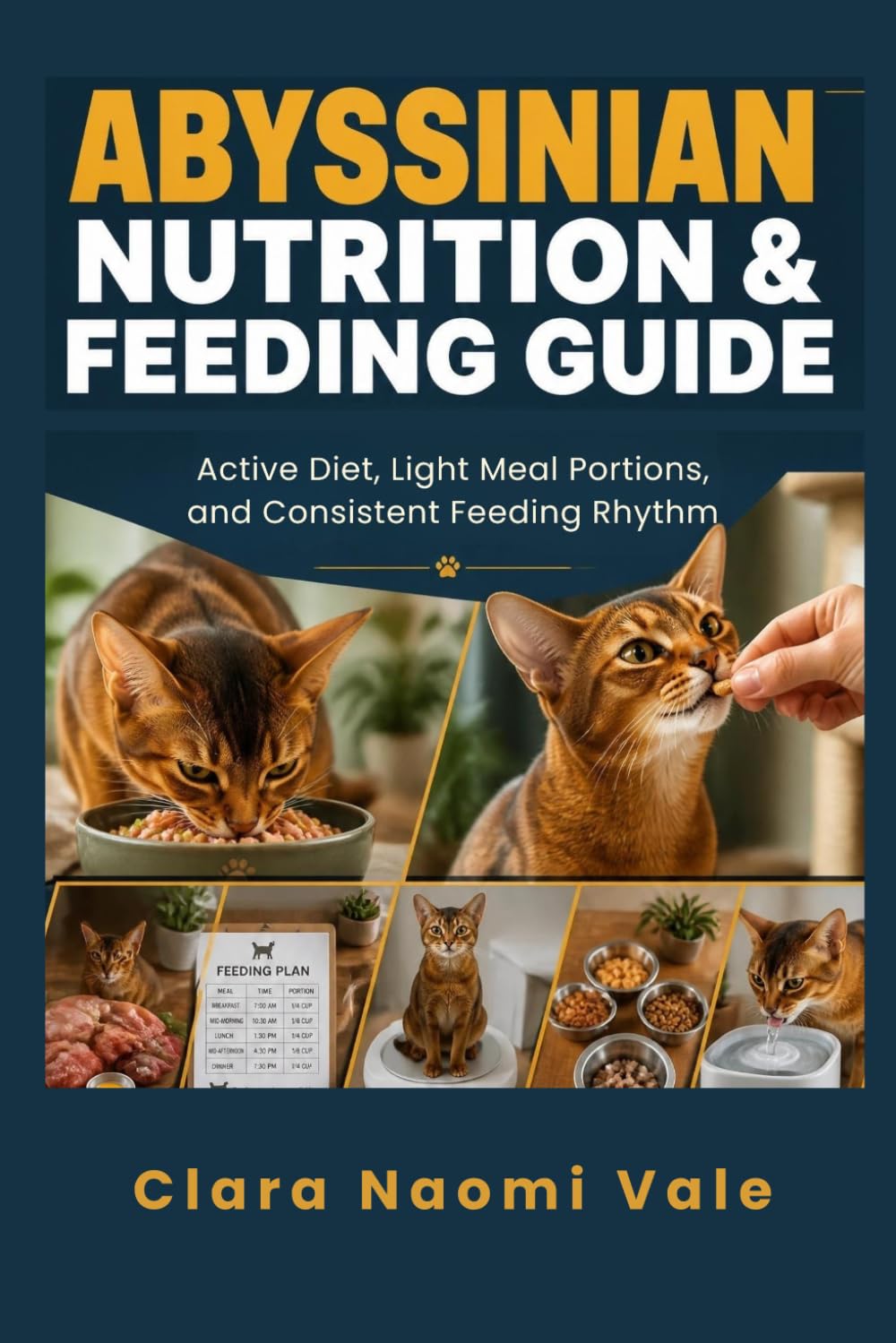 Abyssinian Nutrition & Feeding Guide: Active Diet, Light Meal Portions, and Consistent Feeding Rhythm