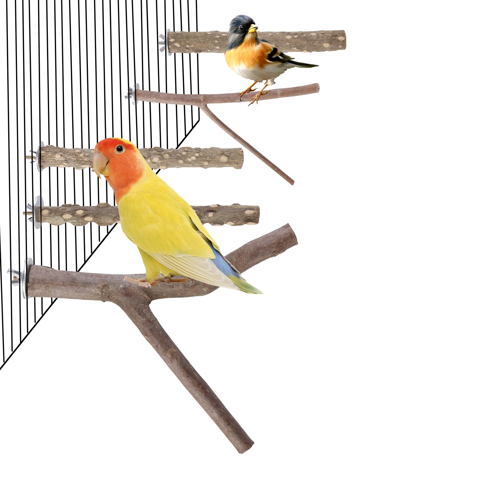 5 unidades de accesorios para jaulas de pájaros, perchas para periquitos, accesorios para periquitos, accesorios para canarios, accesorios de cacatúas, barras de madera natural