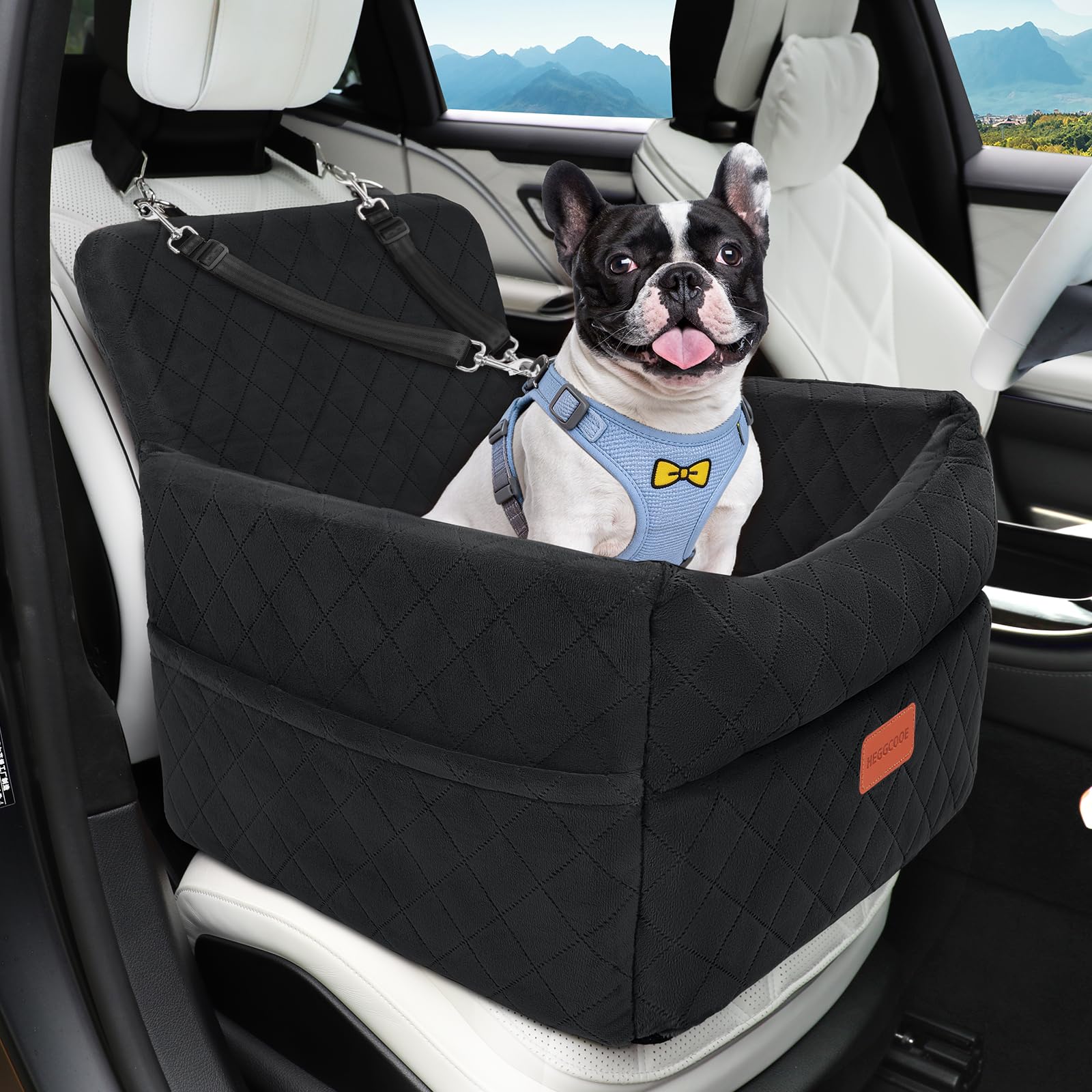 HEGGCOOE Small Dog Car Seat, Memory Foam Dog Booster Seats with Thick Cushion for Medium Dogs Under 35lbs, Detachable Washable Pet Car Seat with Storage Pockets,2 Safety Belts