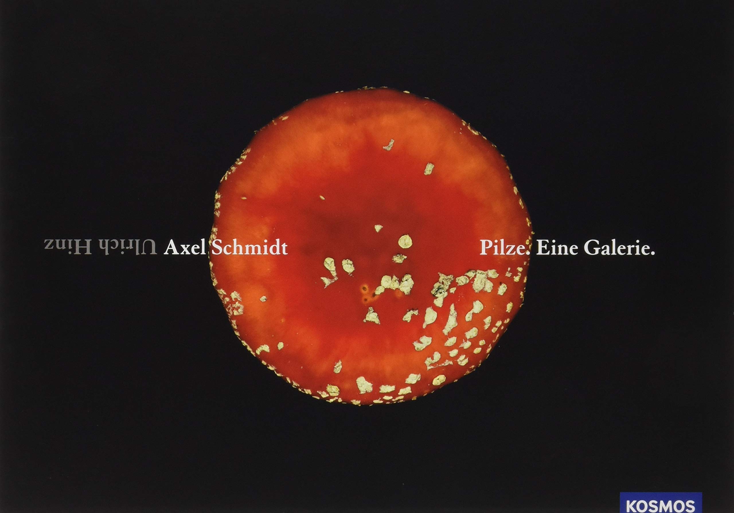 Pilze. Eine Galerie: Ausgezeichnet mit 'Die schönsten deutschen Bücher, Stiftung Buchkunst; Ratgeber' 2018