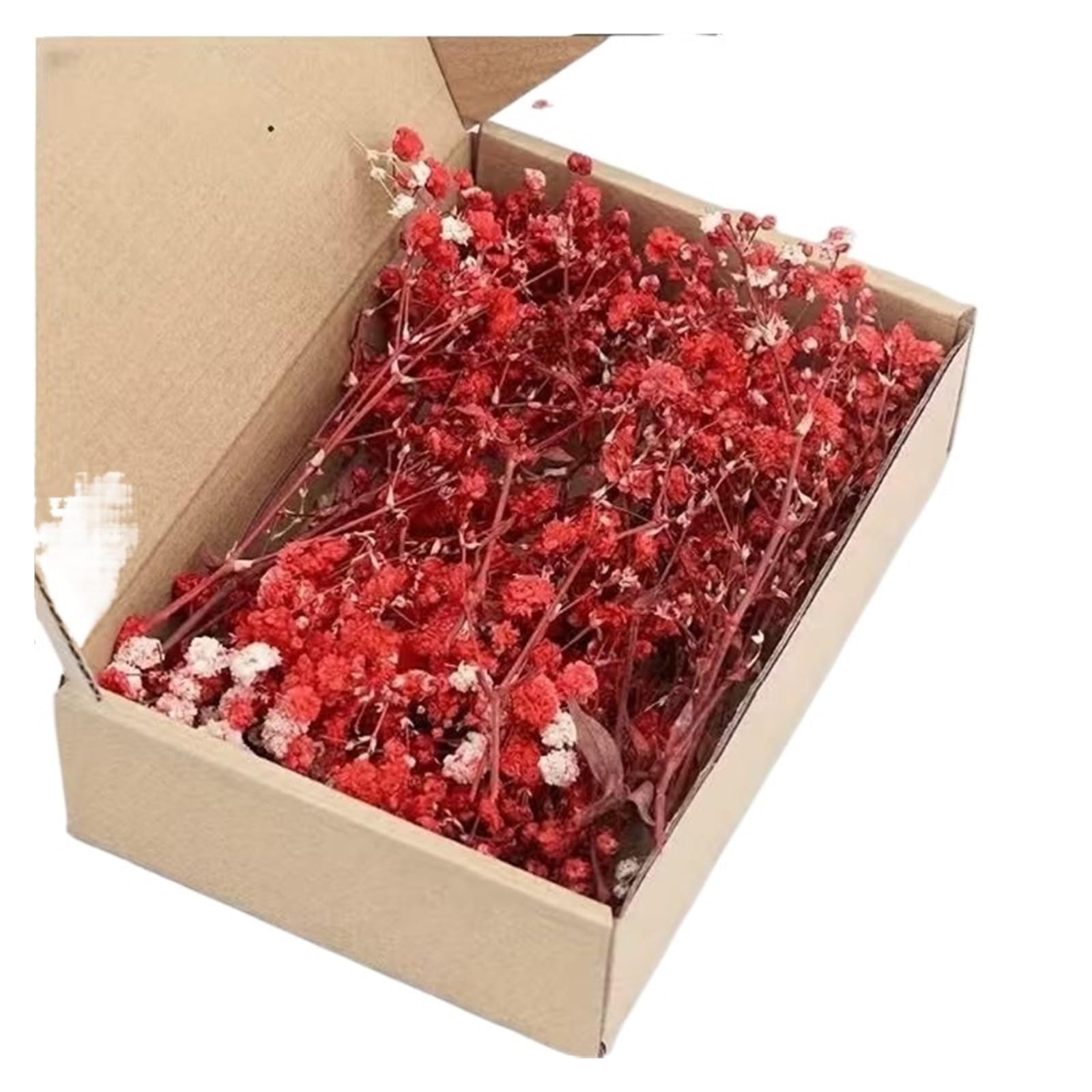 WJIAYAO dried gypsophila flowers 50Pcs Mini White Dried Baby's Breath Flowers Bouquet Small Bunch Gypsophila Bulk DIY Crafts Invitations Candle Making Home Decor(Red)