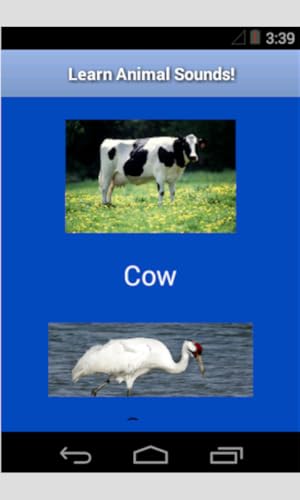 Animal Sounds for Children