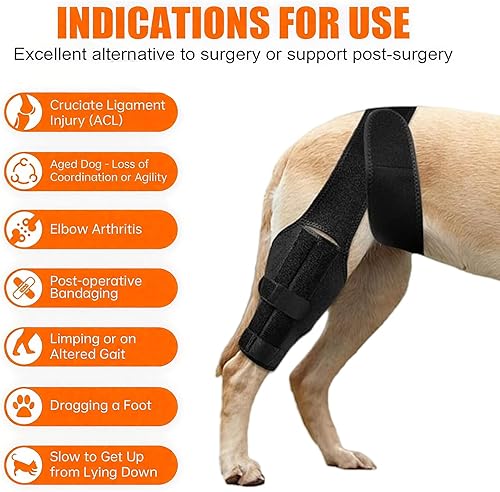 Miniatura 6 de Rodillera para perro para pierna trasera desgarrada, rodillera ajustable para perro, ayuda a aliviar desgarros del ligamento cruzado anterior