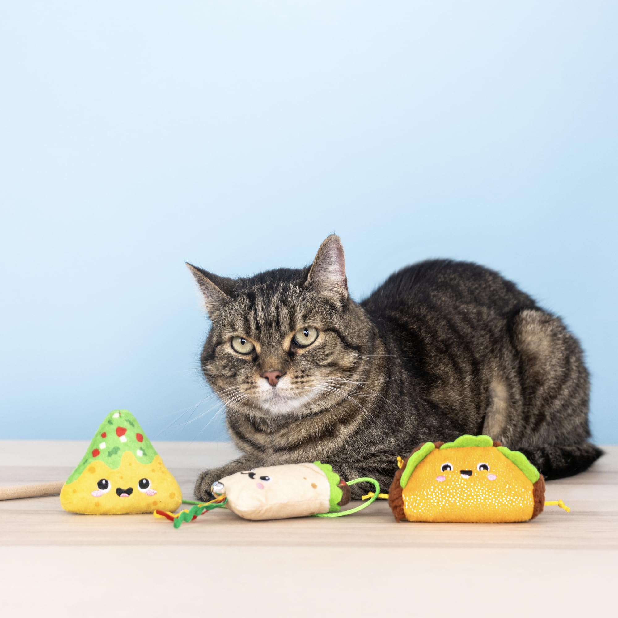 Set Feeling Like a A Guck-Star | Gato