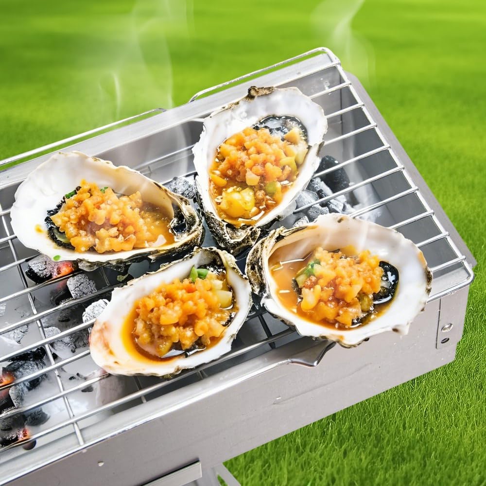 ALSTON Portable Charcoal Grill Rectangular Folding Stainless Steel BBQ Grill L100xW18cm For Skewer and Kebabs with Storage Shelf Outdoor Camping Patio Cooking