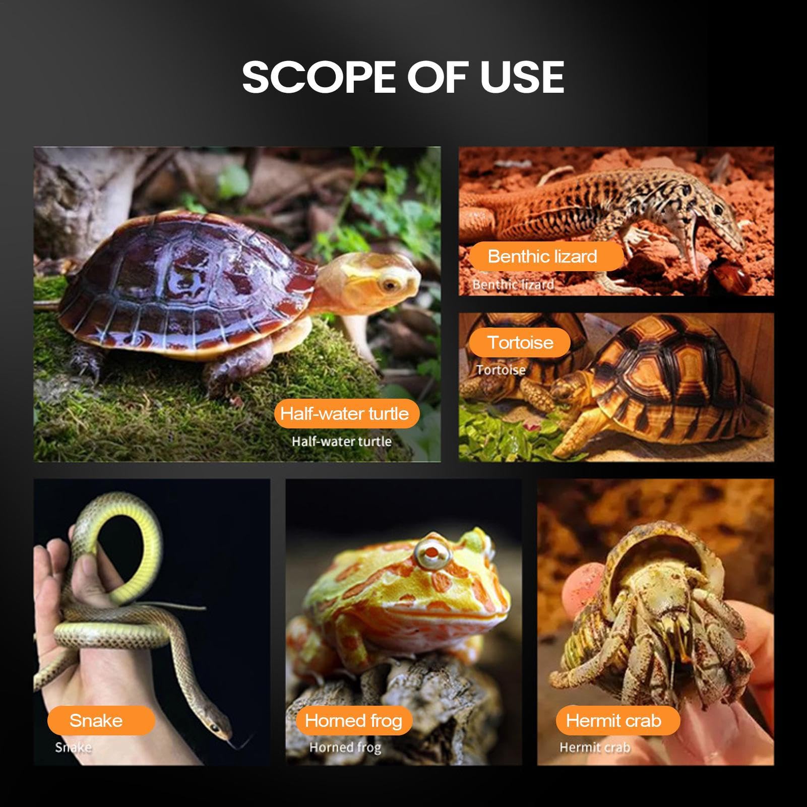 Terrarium Dla Gadów Przezroczyste Wentylowane Zabezpieczone Przed Ucieczką | Terrarium Dla Tarantuli I Pająków Skaczących Dla Płazów Żab Krabów Gekonów Węży Żółwi Agam Brodatych Do Wnętrz
