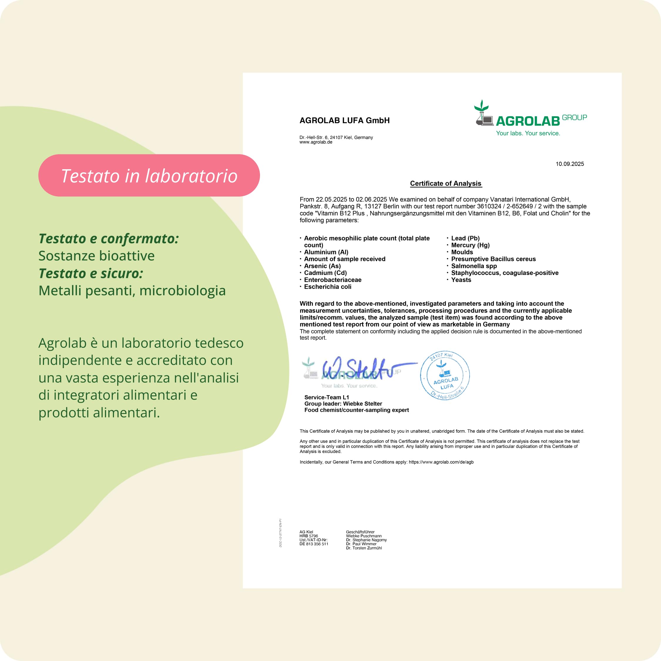 Vegavero Vitamina B12 Vegan 1000 mcg | con Acido Folico, Vitamina B6 e Colina | Metilcobalamina + Adenosilcobalamina (Forme Attive) | SENZA ADDITIVI | 180 capsule (Confezione da 2)