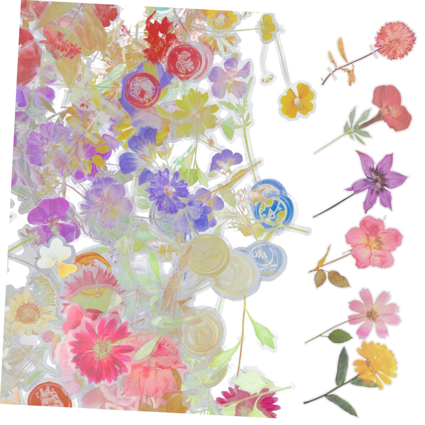 Angoily 3 Series Pegatinas Decorativas Para Scrapbooking De Calcomanías De Flores Secas Adornos Para Álbumes Diarios Y Manualidades Estilo Botánico Y Estético Accesorios Para 6 Paquetes*3