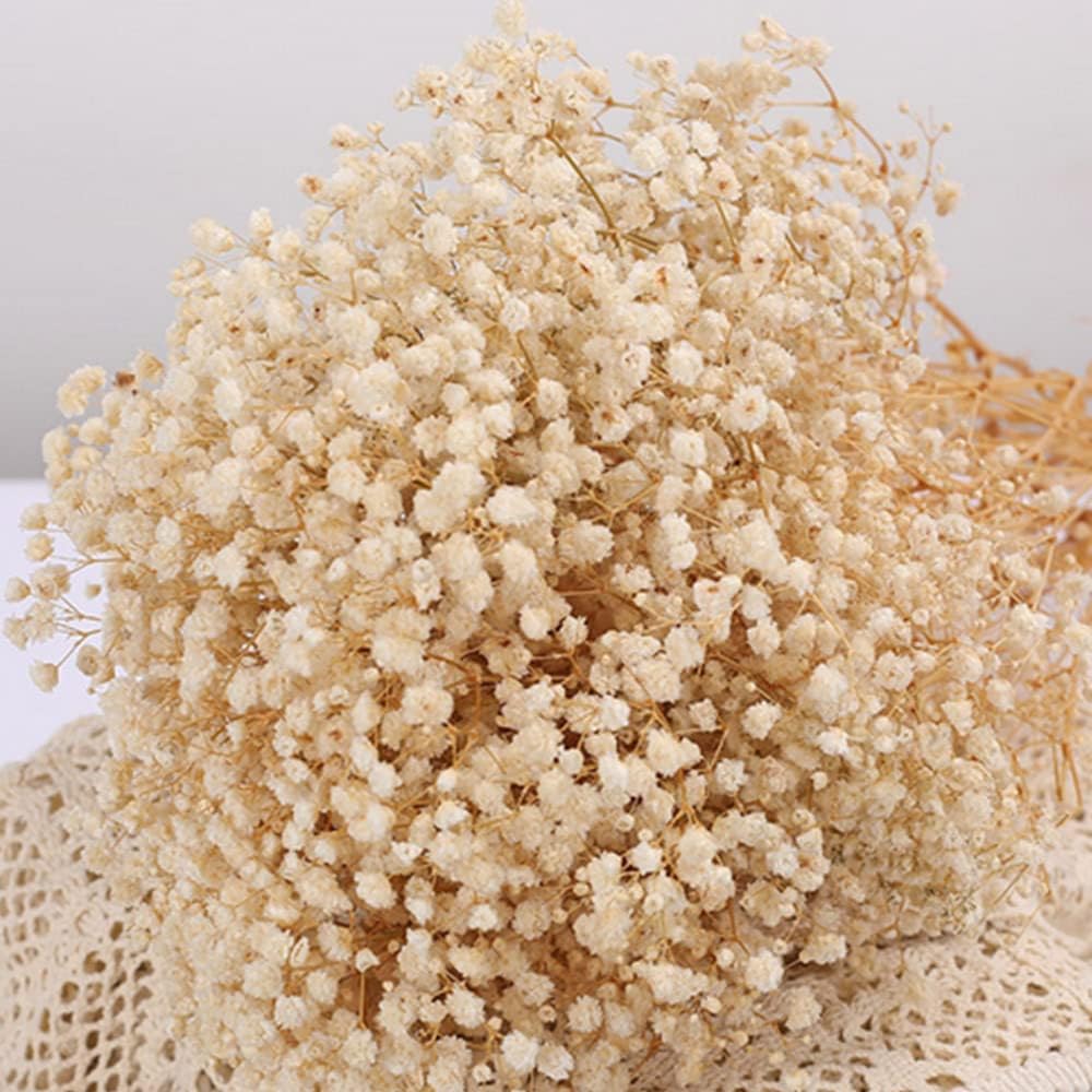 Gipizi Bouquet De Fleurs D'haleine De Bébé Séchées - 43,2 Cm - Blanc Naturel Séchées - Vrai 2500+ - Véritables Branches De Gypsophiles Pour Mariage, Fête, Vase De Table, Bricolage, Décoration