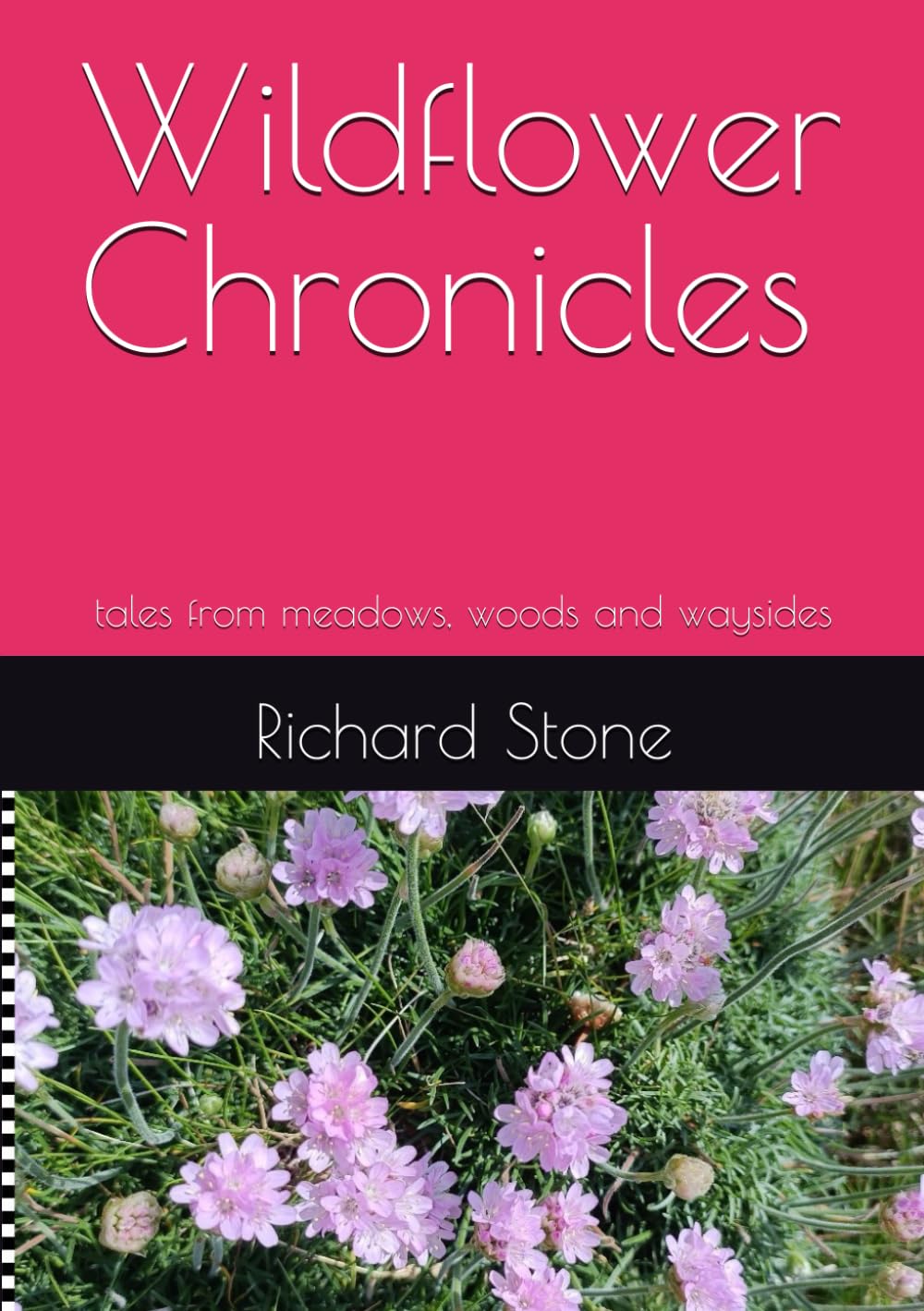 Wildflower Chronicles: tales from meadows, woods and waysides