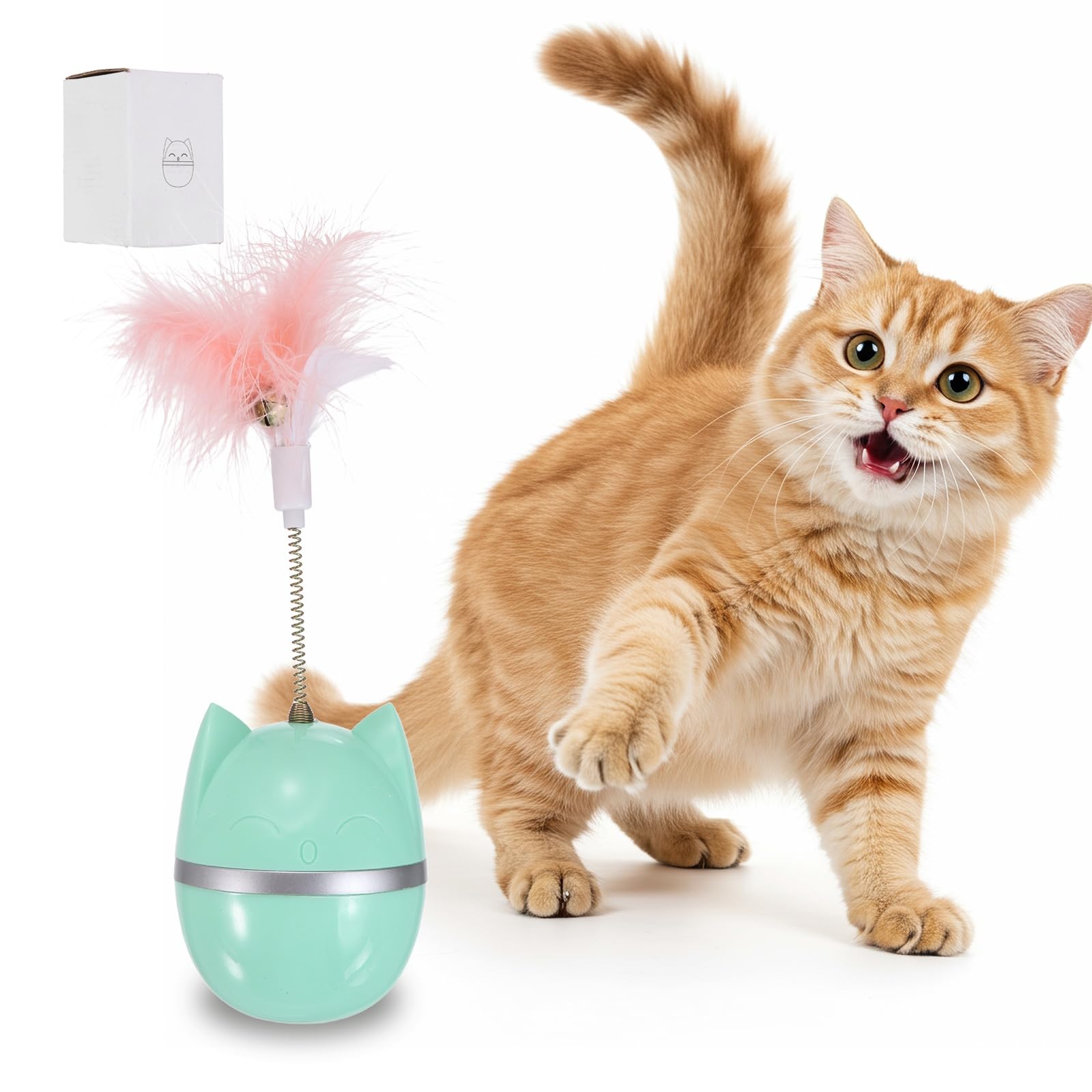 Plume herbe à chat verte pour l'éveil des chatons en intérieur sans bruit