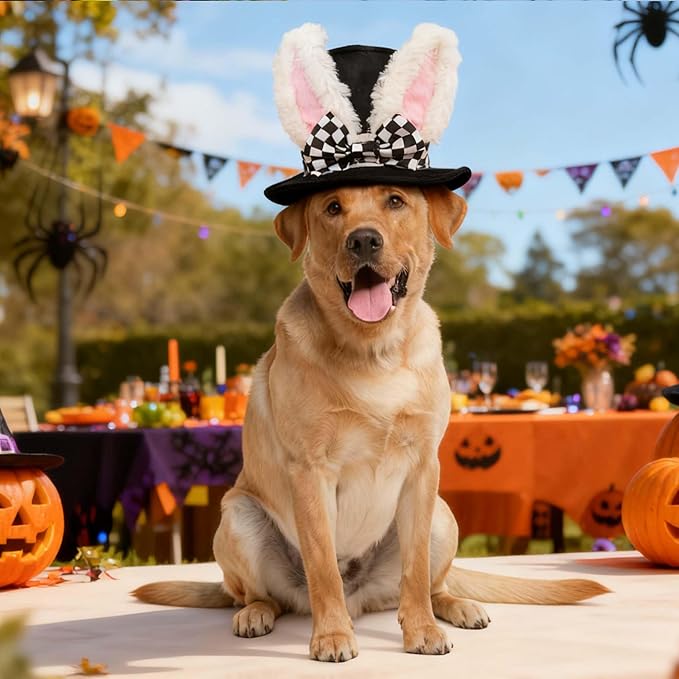 Sombrero de Conejo para Perro, Disfraz de Pascua Halloween miniatura 3