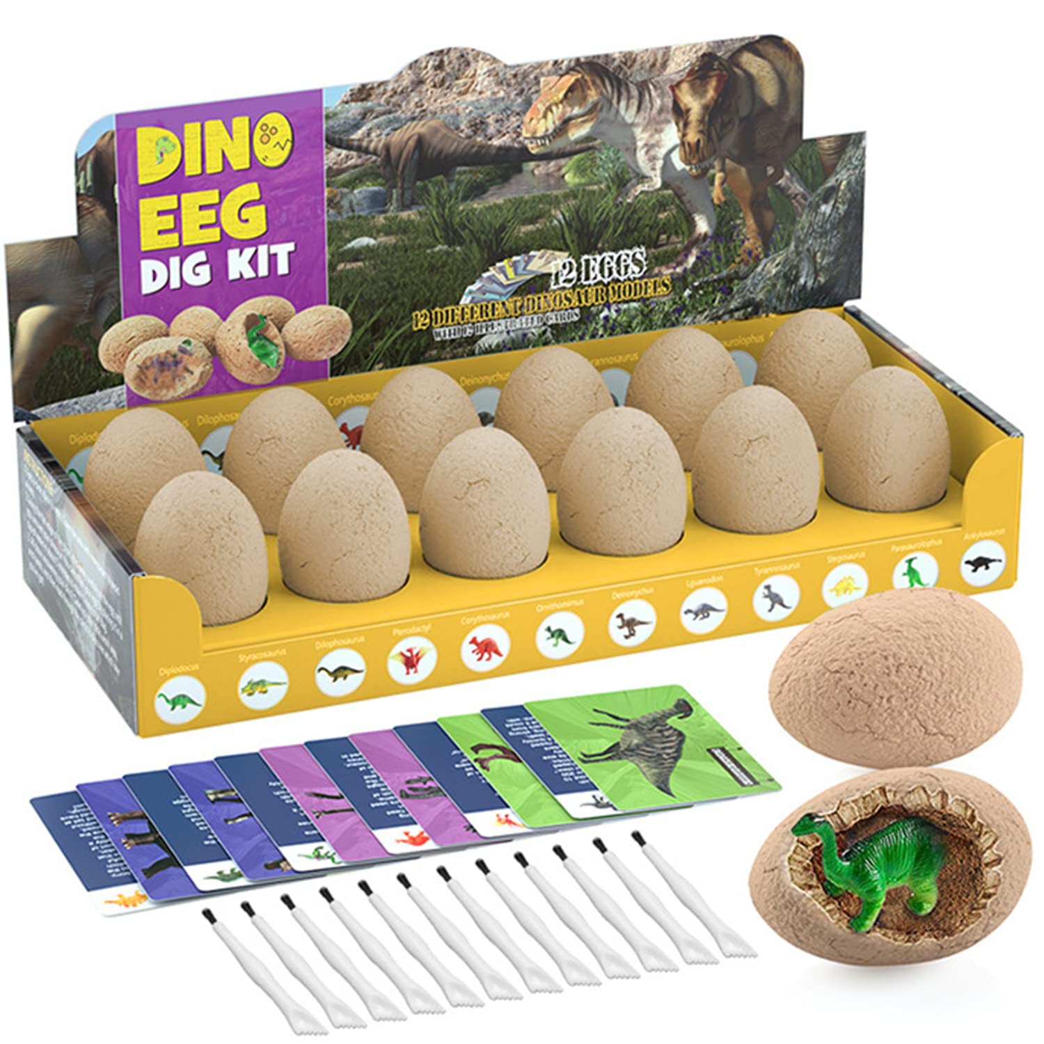 Buy Dinosaur Toys KIt, Dino Party Favors 12 Different Dino Fossil Eggs, Excavation Educational