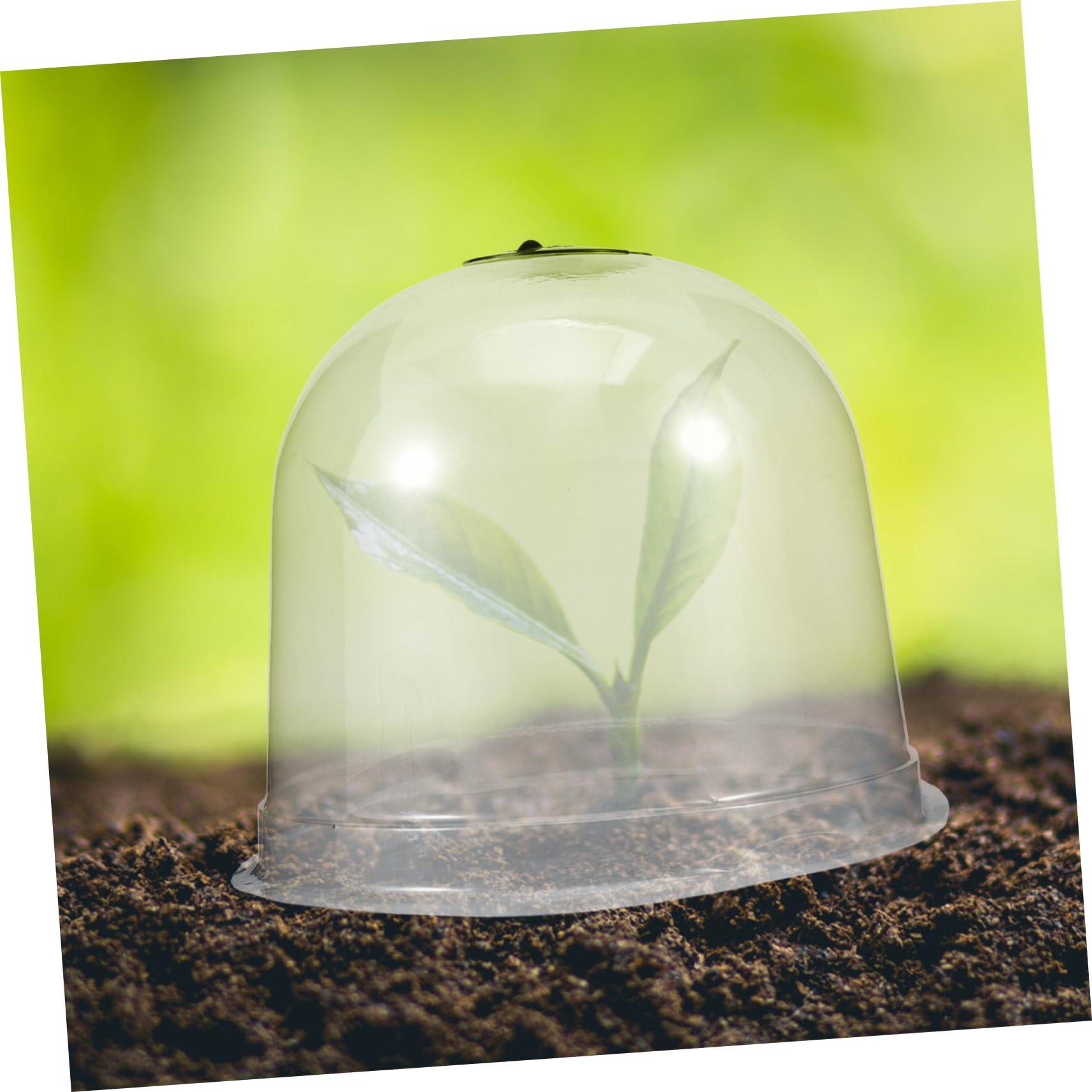 Parliky 1set Garden Cloche Dome for Plants Breathable Humidity Dome with Air Vent Lightweight Plant Cover for Vegetable Garden Protection for Frost