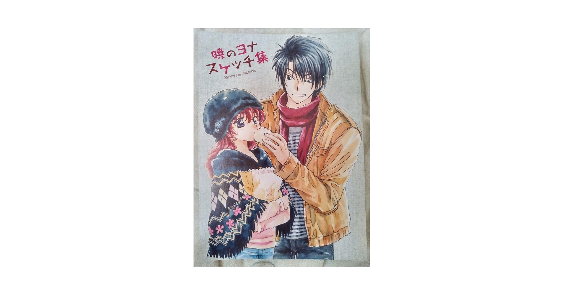 暁のヨナ 限定版 19-30 ファンブック 小冊子 イラスト集 ポストカード付 暁のヨナ 限定版 19-30 ファンブック 小冊子 イラスト集 ポスト