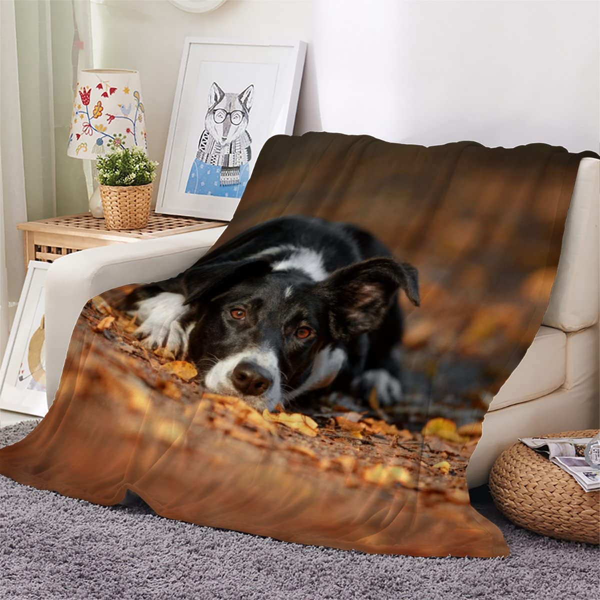Flannel Sherpa Blanket Border Collie Throw Blanket Animal Dog 3D Printed Soft Cozy Blanket for Bed Sofa Couch Baby Kids Adults Girls Boy Blanket Warm Fluffy Lightweight Double 40x50Inch