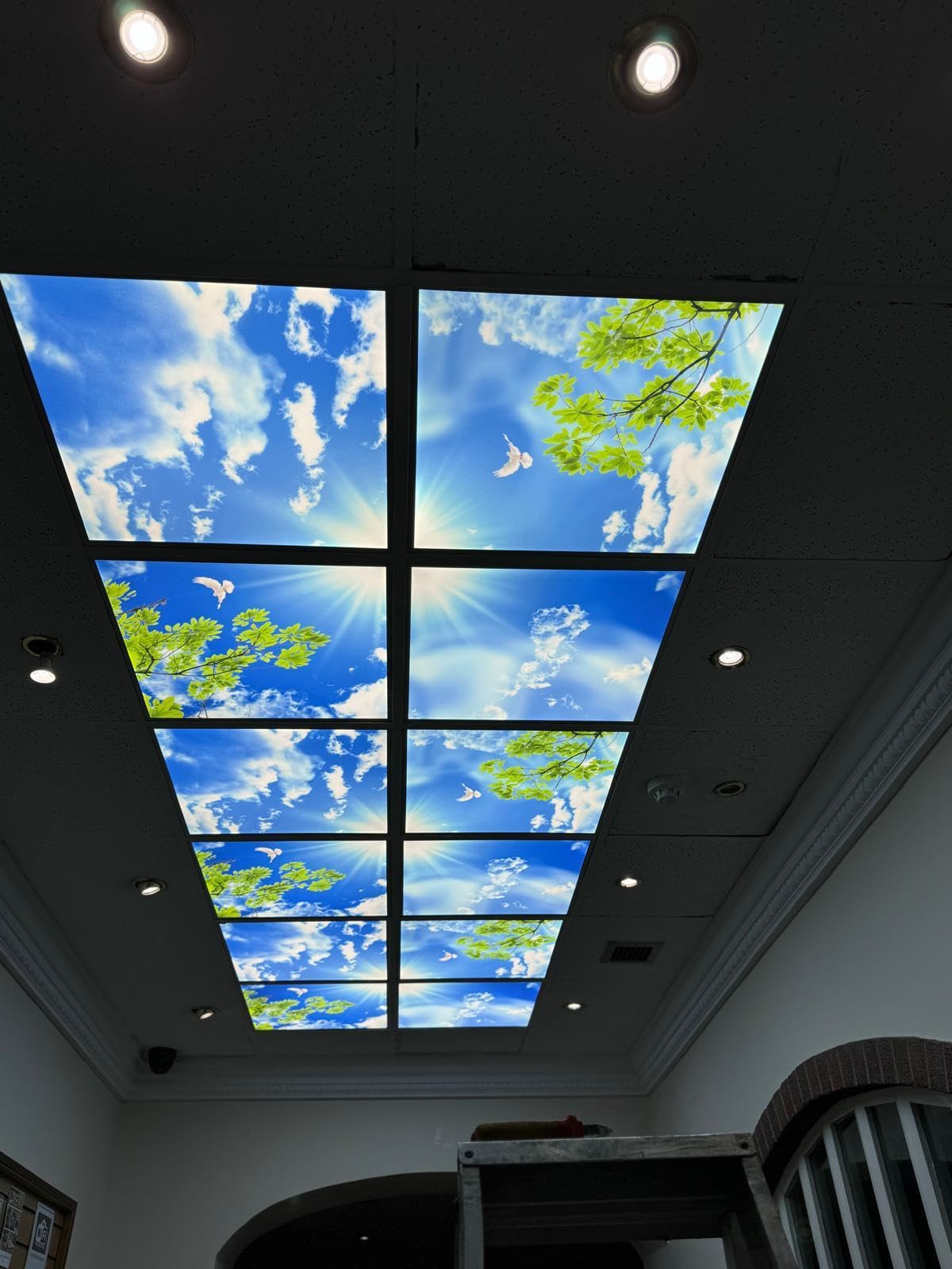 Generic 4 Pack LED Sky Panel 600x600 Blue Sky Bird Design 160W Office Tiles Clinic Practice Ceiling Lighting [Energy Class A]