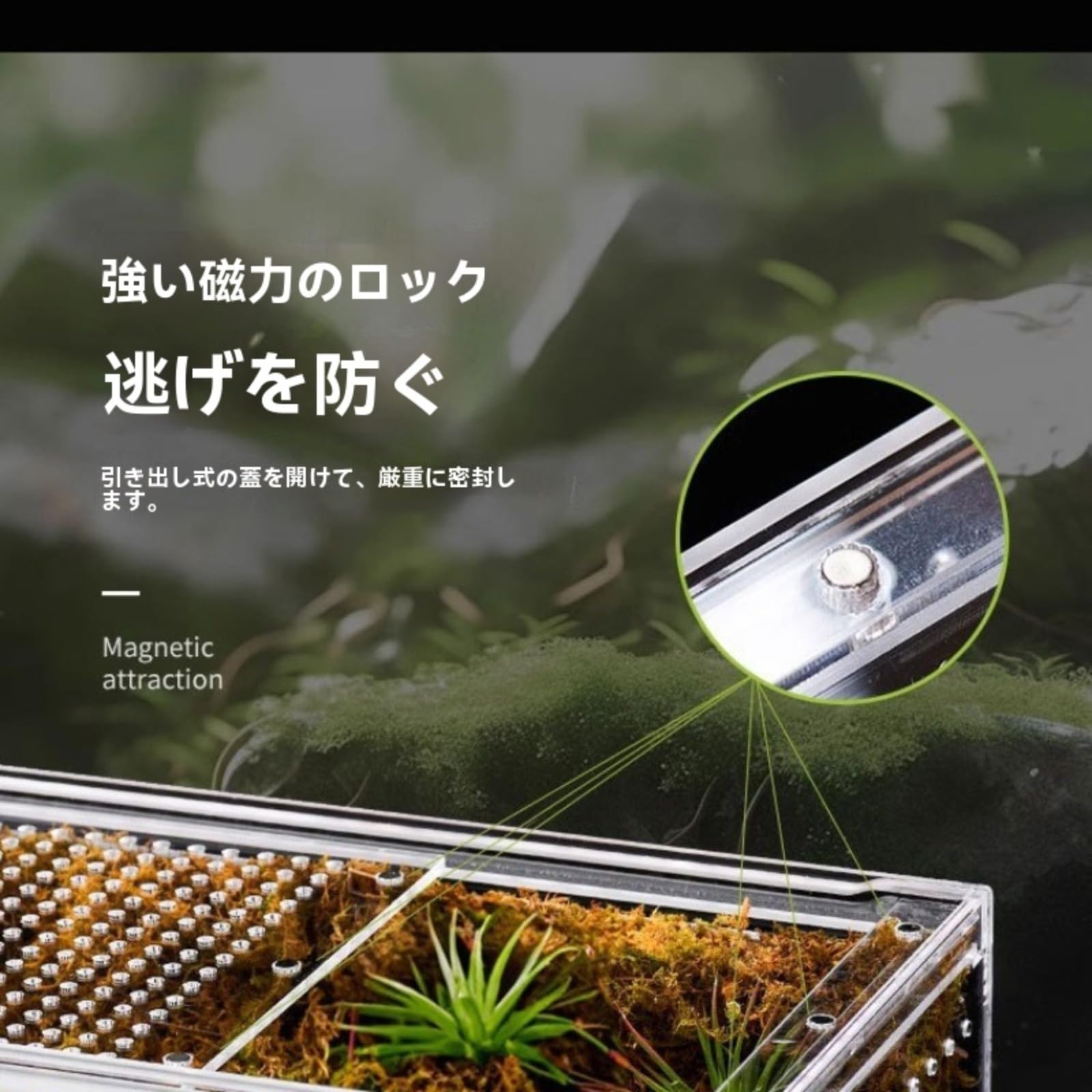 Amazon | レプタイルボックス 爬虫類 飼育ケース 虫かご 大 透明