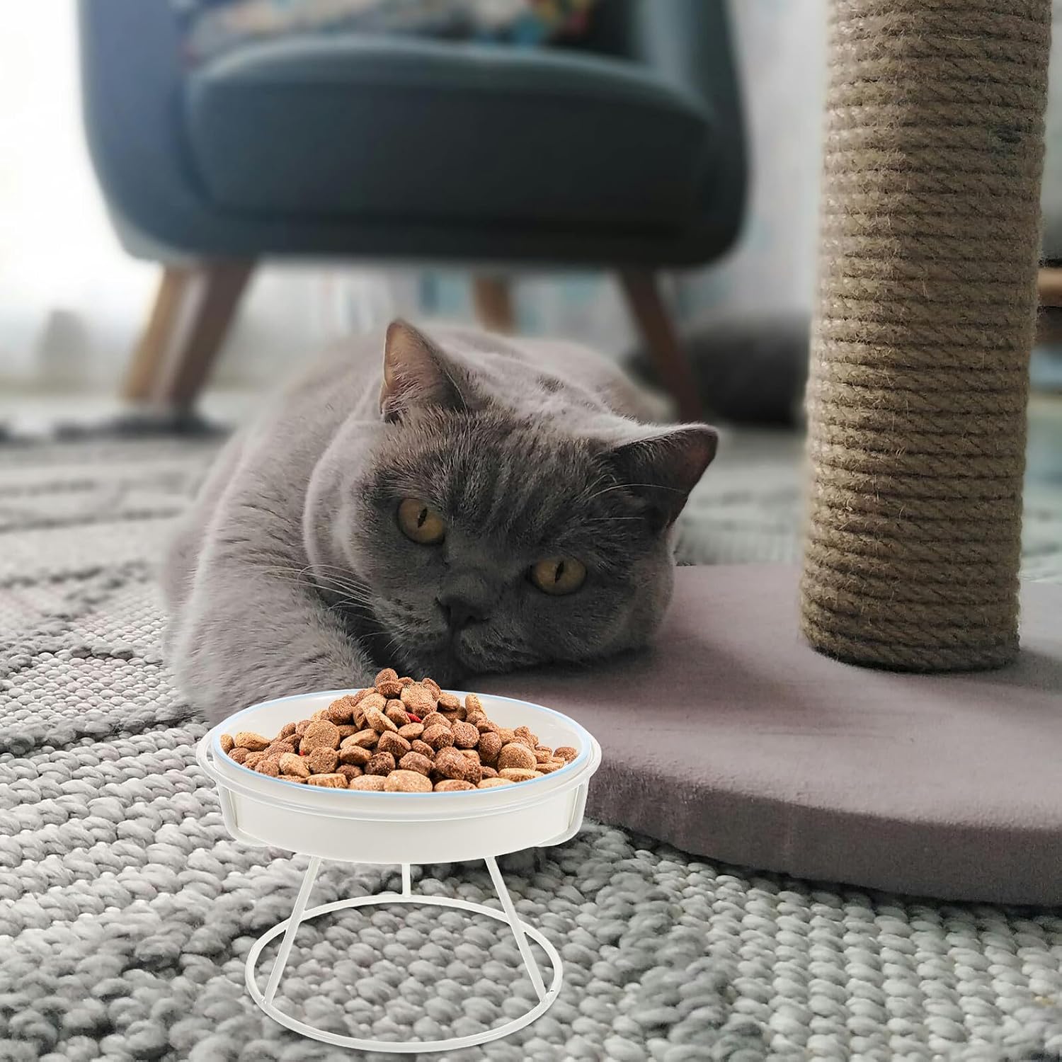 VALICLUD Ceramic Raised Cat Feeding Bowl with Elevated Stand Slow Feeder for Small Dogs and Kittens Blue and White Slow Food Dish Set Spine Protection