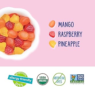 YumEarth Organic Tropical Fruit Snacks, 0.7 Ounce (Pack of 10)